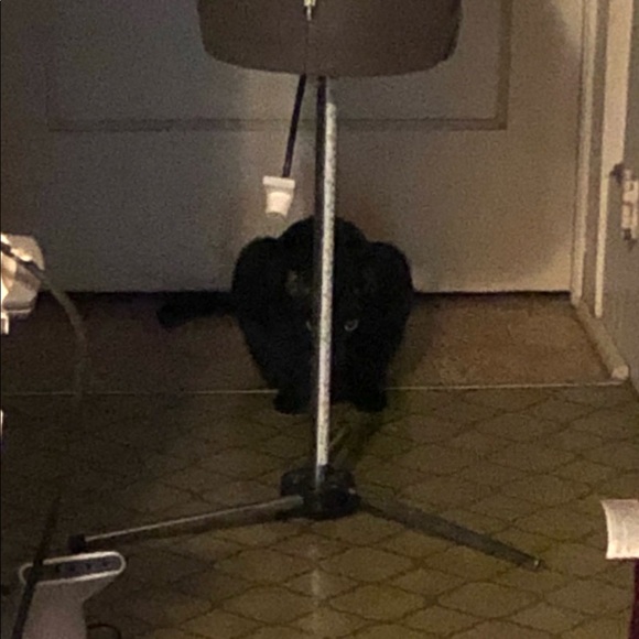 Meet your Posher, Wendie - Picture 5 of 9